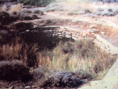 purobolarxia-mounta-1