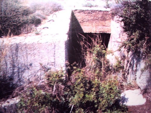 purobolarxia-mounta-2