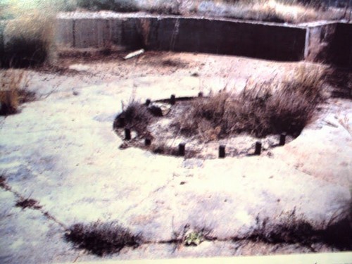 purobolarxia-mounta-3