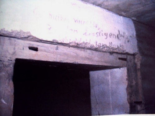 purobolarxia-mounta-4